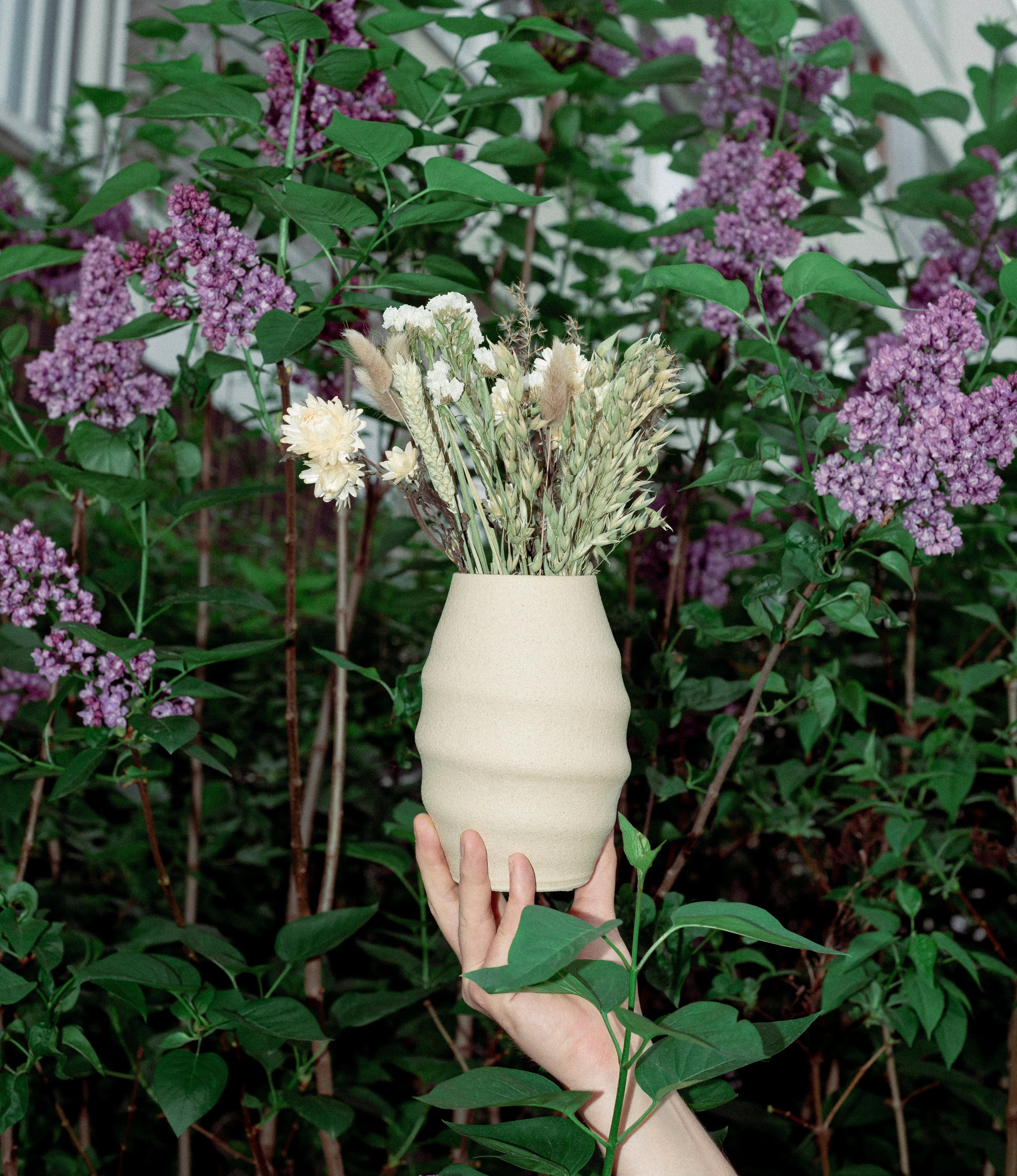 Ocactuu's Aonia Vase paired with Dried flowers coming in a natural tone. The product is showcased in a garden with lilac flowers in the background.